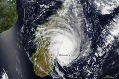 Bão Freddy có sức gió lên tới 130 km/giờ. (Nguồn: Earth Observatory)