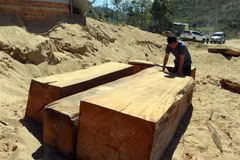 Các hộp gỗ lậu được khai thác, tập kết tại mỏ khai thác cát, sỏi 87 thuộc xã Đăk Pxi, huyện Đăk Hà, tỉnh Kon Tum. (Ảnh: Cao Nguyên/TTXVN)