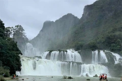 Thác Bản Giốc (xã Đàm Thủy, huyện Trùng Khánh) được ví như 'viên ngọc' của du lịch Cao Bằng. (Ảnh: PV/Vietnam+)