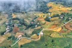 Thung lũng Mường Hoa, Sa Pa mùa nước đổ. (Ảnh: Xuân Mai/Vietnam+)