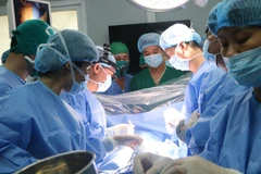 Ảnh minh họa. (Nguồn: Vietnam+)