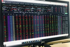 Ảnh minh họa. (Nguồn: Vietnam+)