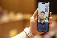 Ảnh minh họa. (Nguồn: Vietnam+)