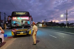 Phương tiện bị phát hiện và tạm giữ tại huyện Phù Mỹ sau khi bỏ chạy hơn 30km. (Nguồn: An toàn giao thông)