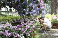 Khách tham quan bị thu hút bởi các tiểu cảnh đẹp mắt tại Festival hoa lan Thành phố Hồ Chí Minh lần thứ hai năm 2023. (Ảnh: Xuân Anh/TTXVN)