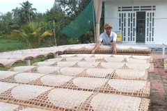  Phơi bánh tráng. (Ảnh: Lê Thúy Hằng/TTXVN)