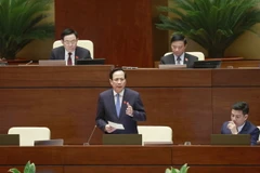 Bộ trưởng Bộ Lao động-Thương binh và Xã hội Đào Ngọc Dung trả lời chất vấn. (Ảnh: Doãn Tấn/TTXVN)
