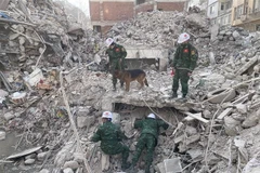 Lực lượng cứu hộ, cứu nạn của Quân đội nhân dân Việt Nam triển khai hoạt động tại Antakya, thủ phủ tỉnh Hatay, ngày 19/2. (Ảnh: Hải Linh/TTXVN)