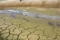 Nước hồ rút cạn, lòng hồ tạo nên những vết nứt như hoang mạc. (Ảnh: Lê Xuân/TTXVN)