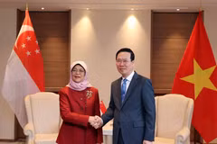 Chủ tịch nước Võ Văn Thưởng gặp Tổng thống Singapore Halimah Yacob. (Ảnh: Thống Nhất/TTXVN)