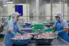 Chế biến cá tra xuất khẩu. (Nguồn: TTXVN)