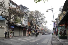 Một góc Hà Nội trong ngày Tết. (Nguồn: TTXVN)