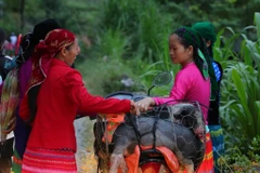 5h sáng, nhiều bà con đã có mặt tại chợ. (Ảnh: Hoàng Hiếu/TTXVN)