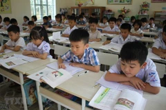 Ảnh minh họa. (Nguồn: TTXVN)