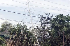 Khung sắt hình cây thông bị vướng vào đường điện. (Nguồn: VNN)