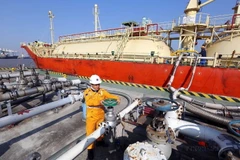 Công ty Cổ phần Rent A Port (Bỉ) đầu tư xây dựng hạ tầng Khu Công nghiệp Đình Vũ tại Hải Phòng, nay là Tổ hợp Khu Công nghiệp DEEP C. (Ảnh: Danh Lam/TTXVN)