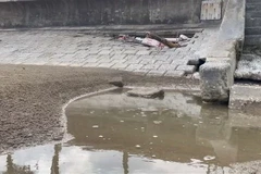 Thanh Hóa: Sạt lở tuyến kè chắn sóng ở Khu du lịch biển Hải Tiến