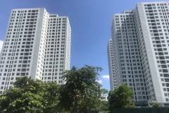 Ảnh minh họa. (Nguồn: Vietnam+)