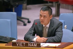 Đại sứ Đặng Hoàng Giang, Trưởng Phái đoàn đại diện Thường trực Việt Nam tại Liên hợp quốc. (Ảnh: TTXVN phát)