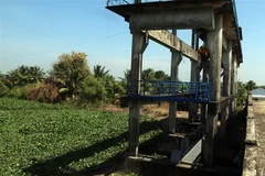 Cống ven biển xã Sơn Bình, huyện Hòn Đất, tỉnh Kiên Giang được đóng để ngăn mặn, giữ ngọt phục vụ sản xuất cho nông dân. (Ảnh: Lê Sen/TTXVN)