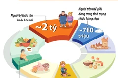 Những vấn đề hệ thống lương thực toàn cầu đang đối mặt.