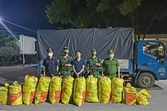 Các lực lượng bắt giữ đối tượng cùng tang vật hơn 310kg pháo nhập lậu từ Trung Quốc. (Ảnh: TTXVN phát)