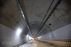 Ảnh minh họa. (Nguồn: TTXVN)