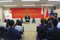 Tọa đàm giữa các cơ quan đại diện ngoại giao Việt Nam tại Nhật Bản với đại diện các hội đoàn người Việt. (Ảnh: Phạm Tuân/TTXVN)
