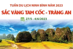 Tuần du lịch Ninh Bình 2023: Sắc vàng Tam Cốc-Tràng An.