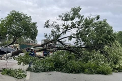 Ảnh minh họa. (Nguồn: TTXVN)