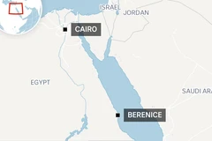 (Nguồn: Datawrapper)