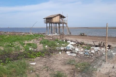 Khu vực hút cát làm đầm bãi trong Vườn Quốc gia Xuân Thủy. (Nguồn: Nông nghiệp)