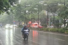 Ảnh minh họa. (Nguồn: Vietnam+)