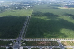 Dự án Gem Sky World ở xã Long Đức, huyện Long Thành, tỉnh Đồng Nai. (Ảnh: Công Phong/TTXVN)