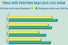 Quan hệ thương mại giữa Việt Nam và Singapore.