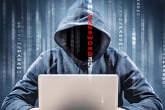 Ảnh minh họa. (Nguồn: Showmetech)