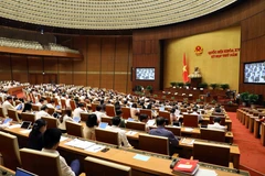 Quang cảnh phiên họp. (Ảnh: An Đăng/TTXVN)