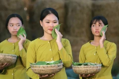 Chương trình nghệ thuật tại Festival Áo bà ba-Hậu Giang 2023. (Ảnh: Duy Khương/TTXVN)