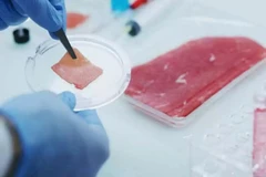 Thịt nhân tạo. (Nguồn: The Peninsula Qatar)