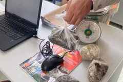 Tang vật thu giữ gồm 4 gói thuốc phiện với tổng khối lượng hơn 1kg. (Ảnh: TTXVN phát)