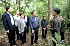 Đoàn công tác khảo sát tại hộ dân trồng rừng ở thành phố Hạ Long. (Nguồn: Báo Điện tử Chính phủ)