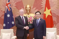 Chủ tịch Quốc hội Vương Đình Huệ hội kiến Toàn quyền Australia David Hurley. (Ảnh: Doãn Tấn/TTXVN)