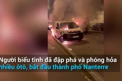 (Nguồn: Vietnam+)