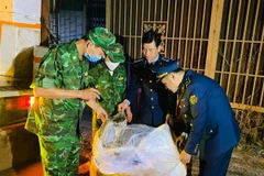 1,7 tấn nội tạng lợn đã bốc mùi hôi thối, không đảm bảo vệ sinh an toàn thực phẩm bị lực lượng chức năng bắt giữ khi đang trên đường đi tiêu thụ. (Nguồn: Biên phòng)