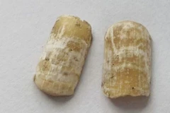 Móng giả gắn trên ngón tay của nạn nhân. (Nguồn: Công an cung cấp)