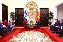 Bộ trưởng Ngoại giao Bùi Thanh Sơn hội đàm với Bộ trưởng Ngoại giao Cộng hòa El Salvador Alexandra Hill Tonoco. (Ảnh: Lâm Khánh/TTXVN)