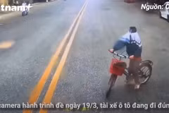 (Nguồn: Vietnam+)