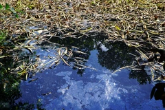 Ảnh minh họa. (Nguồn: TTXVN)