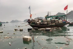 Mặt biển bị rác thải bủa vây, mất mỹ quan, gây ô nhiễm môi trường. (Ảnh: Thanh Vân/TTXVN)