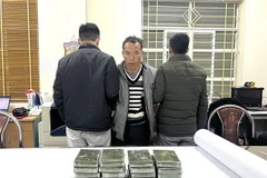Triệt phá đường dây ma túy xuyên quốc gia, thu giữ 20 bánh heroin